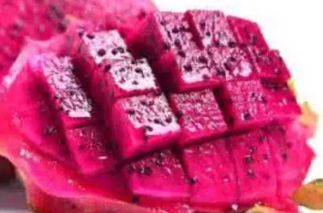 火龍果禁忌食物