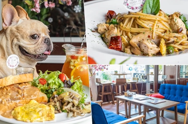 高雄帶寵物餐廳