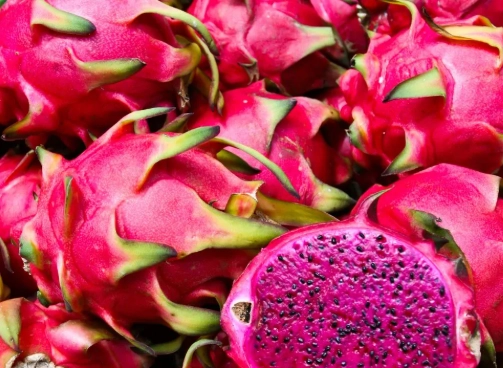 紅肉火龍果營養