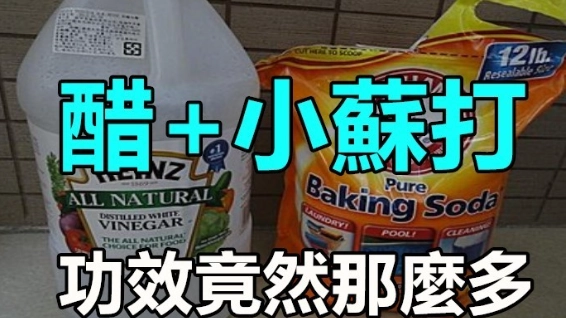 小蘇打醋比例清潔