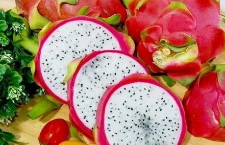 火龍果禁忌食物