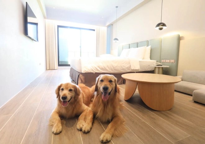 高雄帶寵物住宿