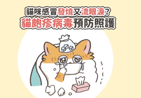 貓打噴嚏治療