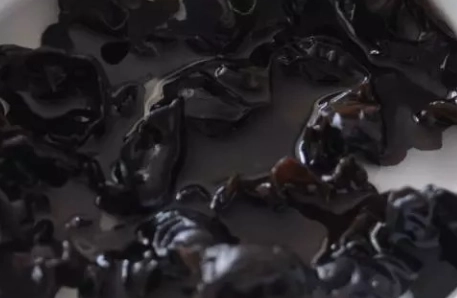 黑木耳食用禁忌