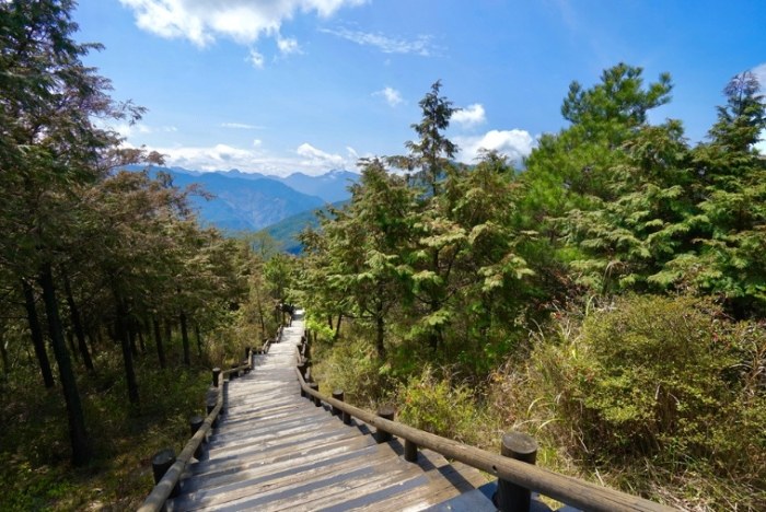 觀霧森林遊樂區