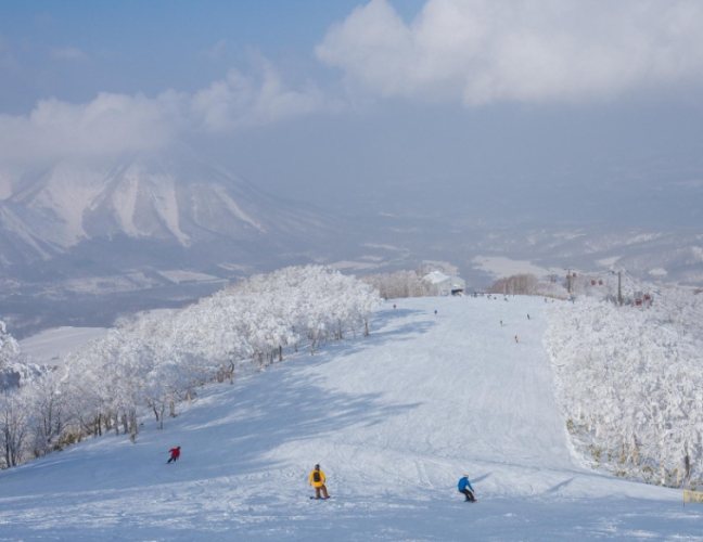 北海道滑雪攻略