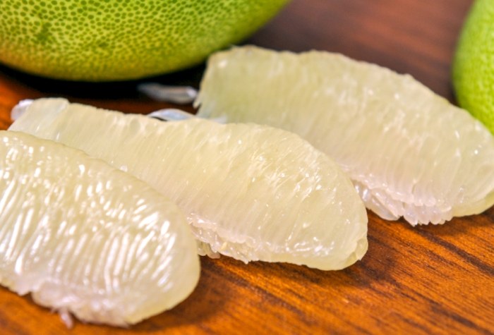 文旦對狗狗的影響