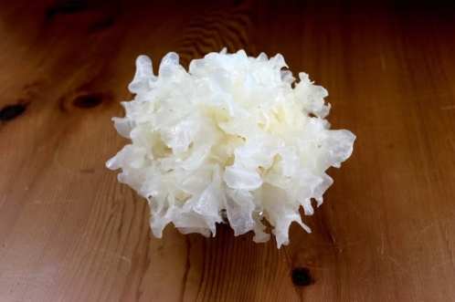 白木耳健康益處