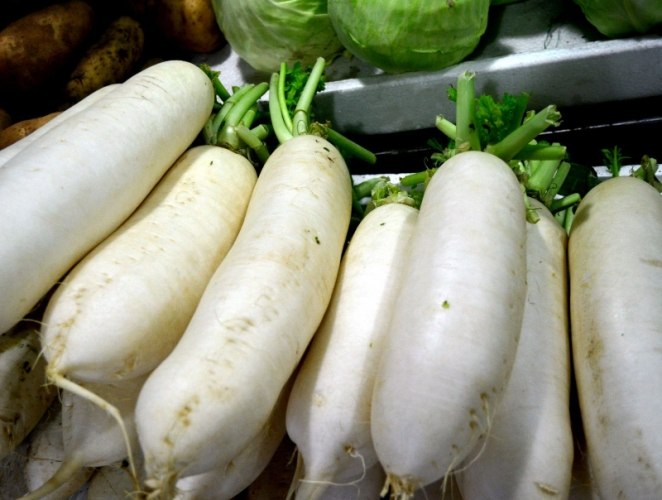 冬吃蘿蔔夏吃薑