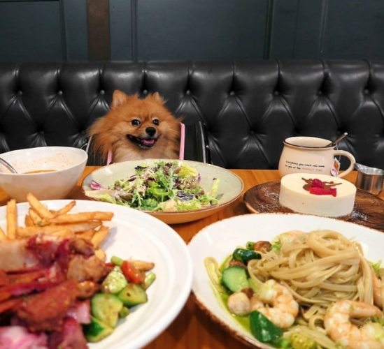 新竹寵物友善餐廳