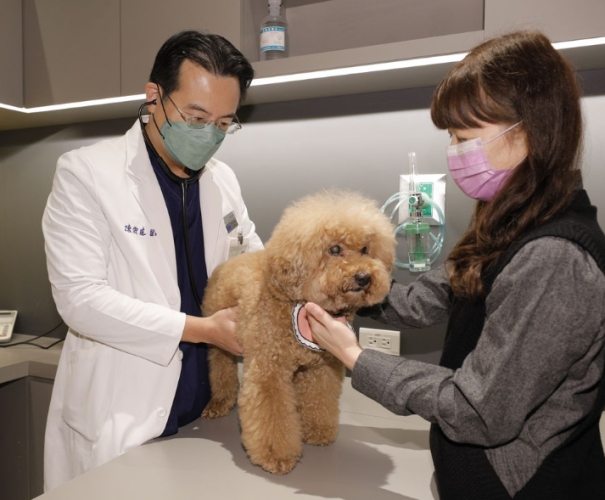 寵物住院一天多少錢