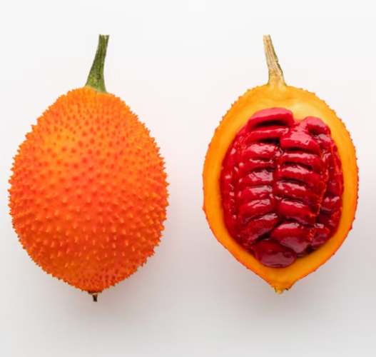 木鱉果油膠囊 功效