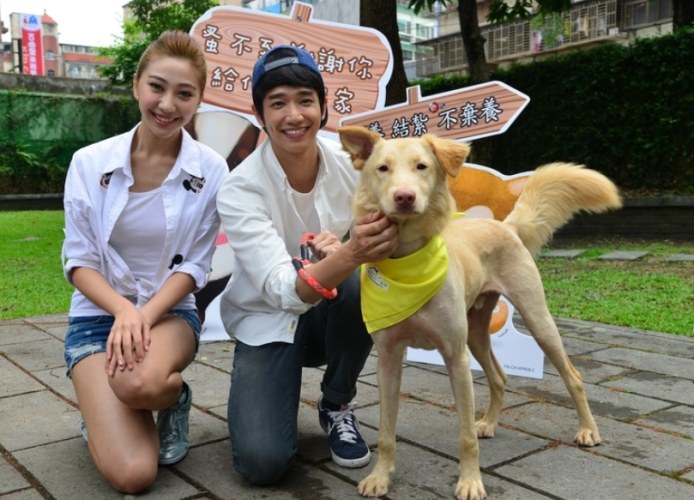 流浪狗認養流程