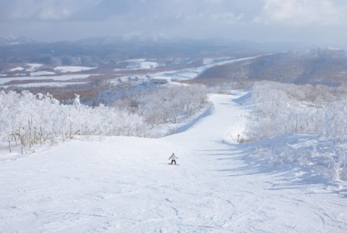 北海道滑雪場推薦