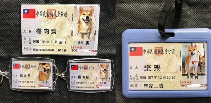 寵物登記證費用與注意事項