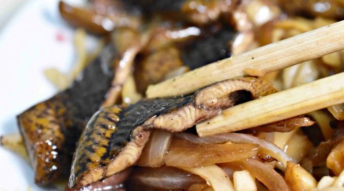 傳統鱔魚麵做法