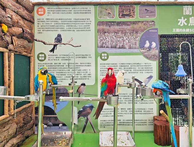 宜蘭室內動物園