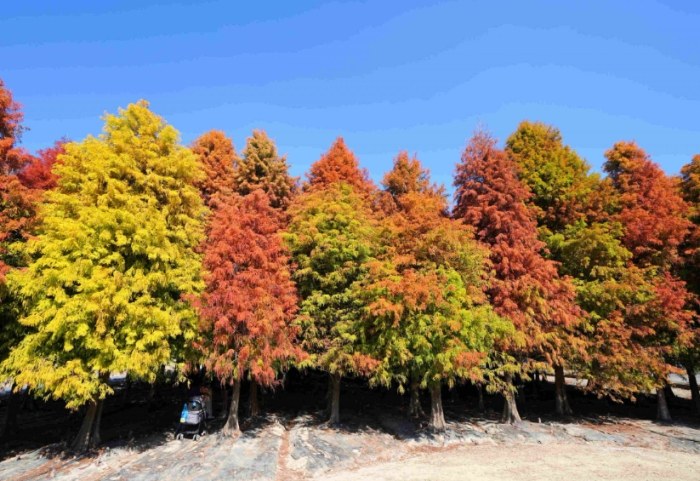 六甲親子一日遊