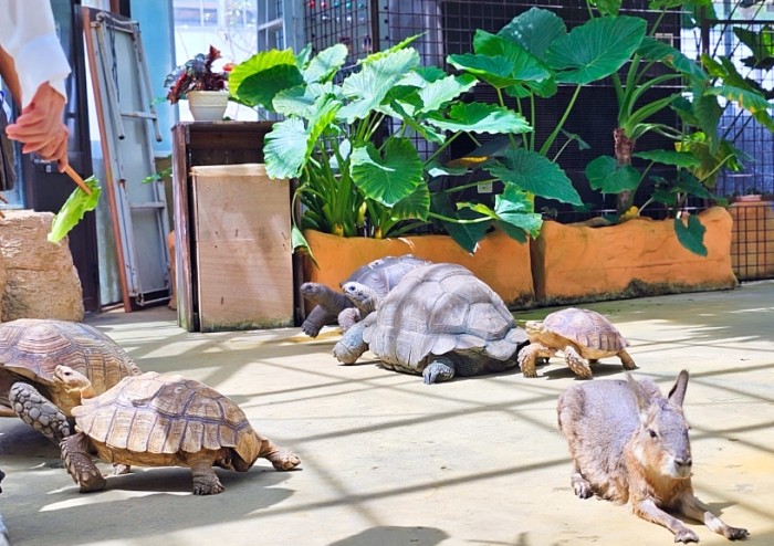 宜蘭室內動物園