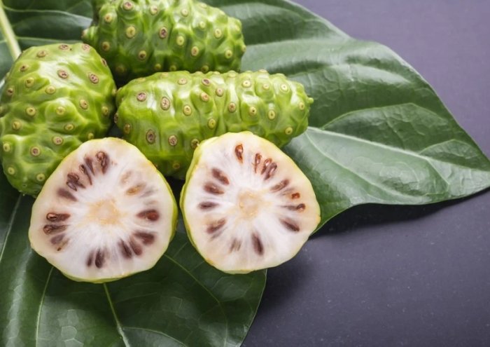 喝諾麗果汁好處