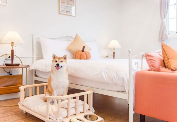 帶寵物旅遊住宿