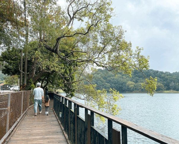 台灣中部自由行