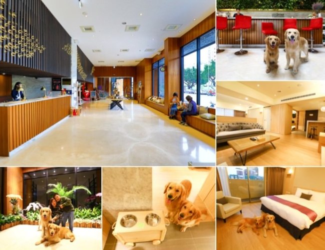 帶寵物住台中飯店