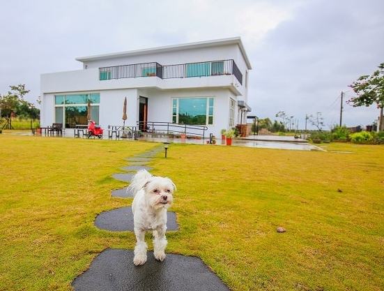 新竹帶寵物旅遊