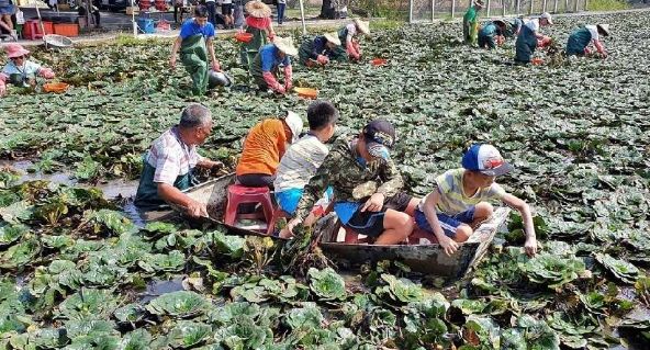 深度體驗活動推薦