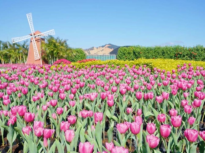 丽宝乐园周边旅游