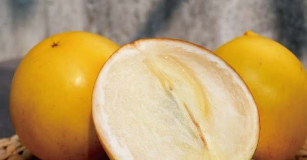 黃金果食用禁忌