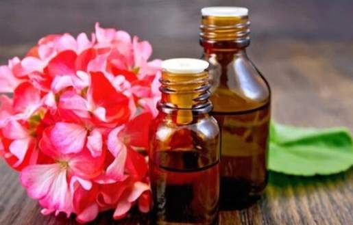 天竺葵精油副作用
