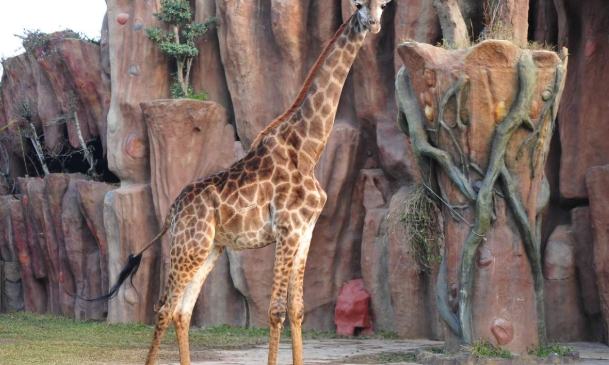 長鹿休博園門票