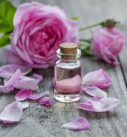 玫瑰草精油使用注意