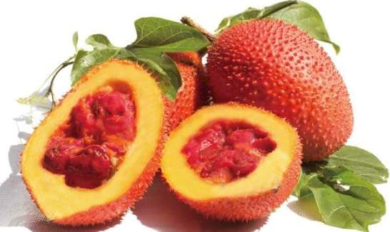 木鱉果油膠囊 推薦