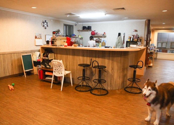 新竹寵物友善餐廳