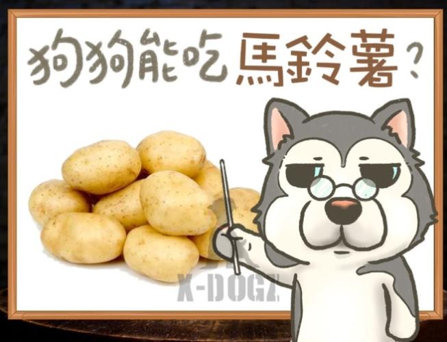 狗狗吃馬鈴薯