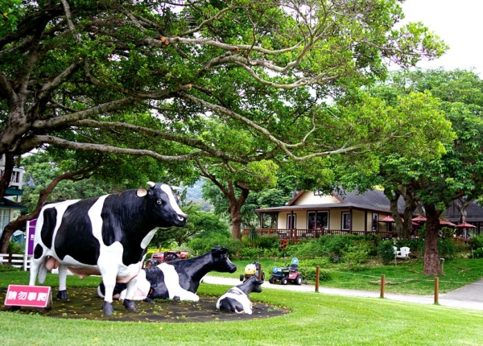 苗栗親子民宿推薦