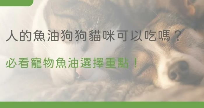 狗狗魚油安全性