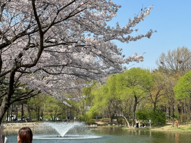 首爾自由行攻略