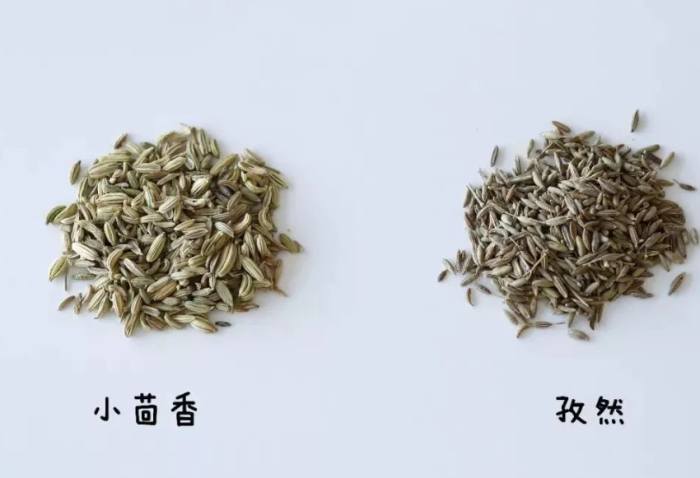 小茴香功效