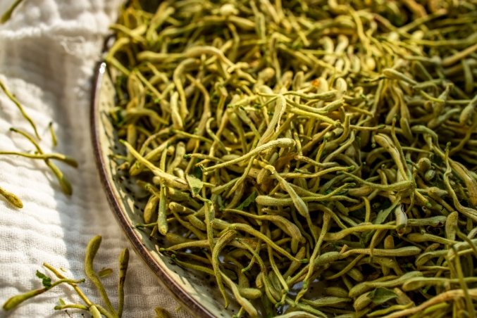 金銀花中醫應用