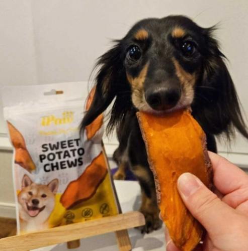 地瓜對狗狗的好處