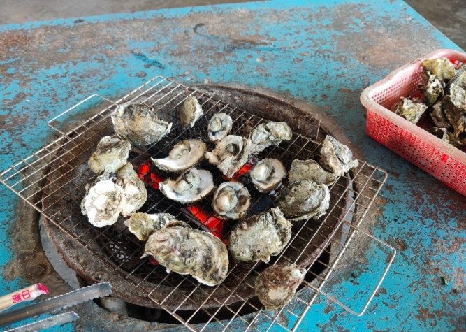 台南龍山號觀光竹筏