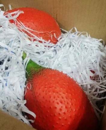 木鱉果皮茶功效