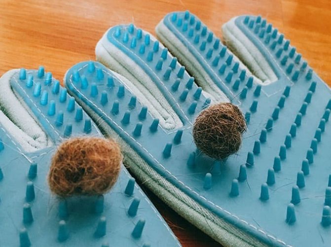 毛球症治療方法