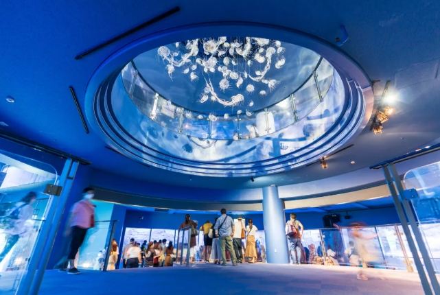 八景島餐廳推薦