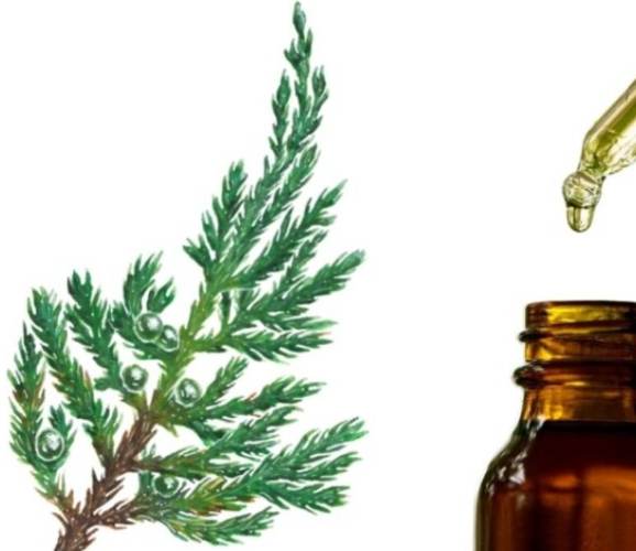 絲柏精油安全使用