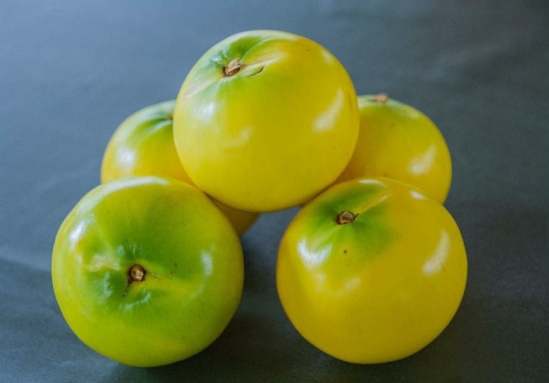 黃金果食用禁忌