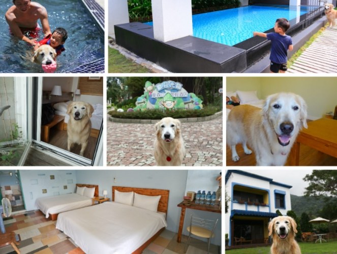 寵物友善住宿推薦